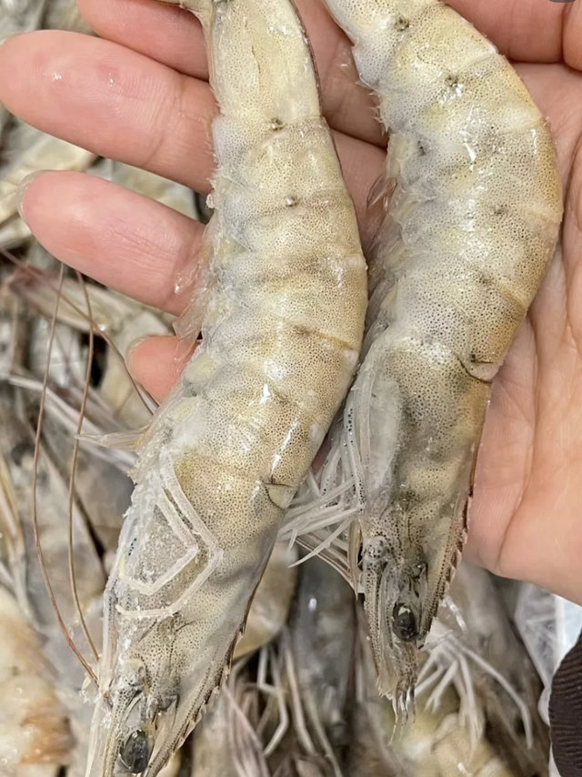 这家的大虾🦐真的超值