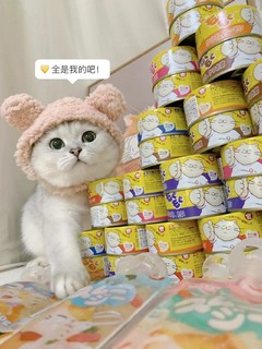 ​🥫小猫咪无法抵抗