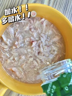 ​🥫小猫咪无法抵抗