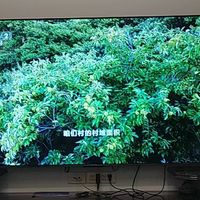 性价比较高的75寸电视