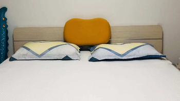 一个毯子两种温度的米家智能温控水暖毯，全程自动温控使用更加安全