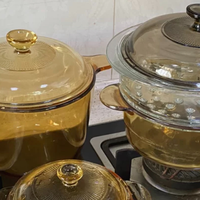 厨房江湖 篇八：正在走红的“玻璃锅”，值得投入吗？体验1个月后，来说说实话