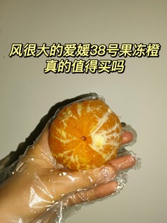 风很大的爱媛38号果冻橙，真的值得买吗