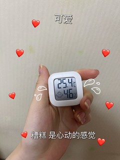 后悔没有早点买这个温度计