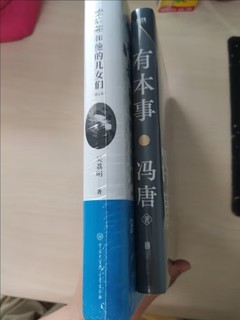 冯唐的作品