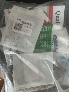 用完的胶囊咖啡有妙用——微型盆栽