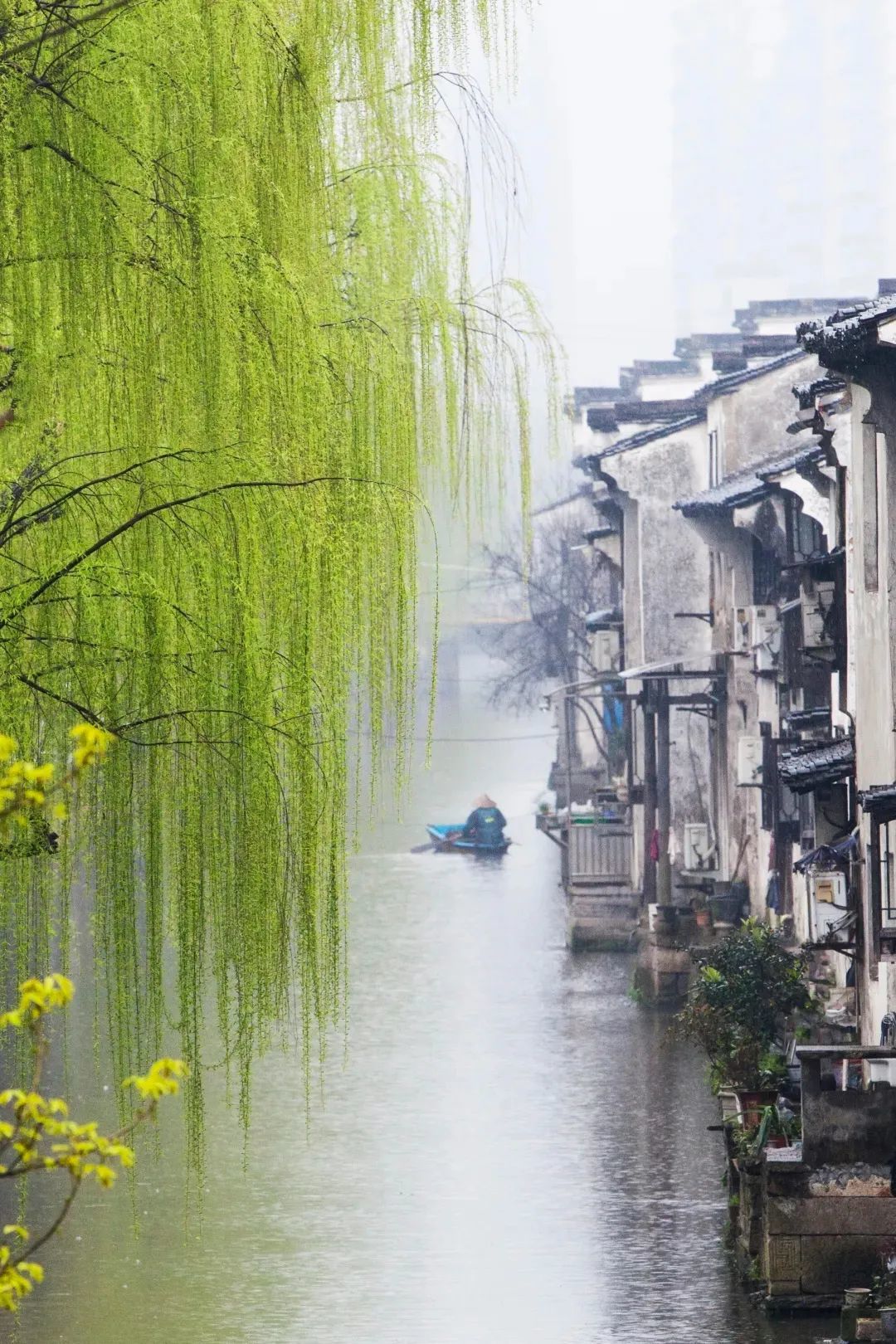 绍兴春雨 ©绍兴古城微信