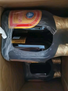 看世界杯，怎么少的了啤酒