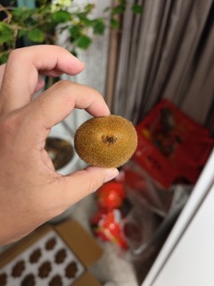 徐香猕猴桃 很甜很棒