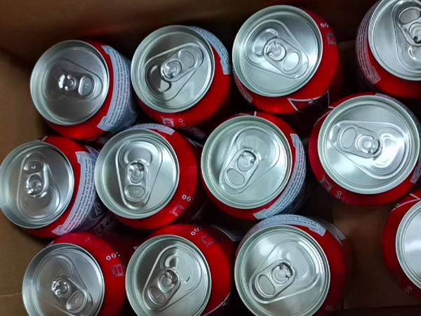 Budweiser/百威啤酒FIFA世界罐经典醇正450m