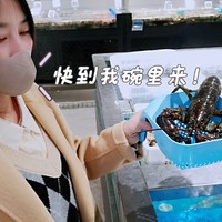 盒马鲜生历险记 生猛海鲜都快到我碗里来 一不小心吃到撑 附花费清单