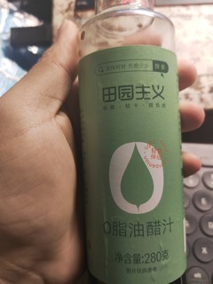 田园主义油醋汁水果蔬菜沙拉酱沙拉餐代餐