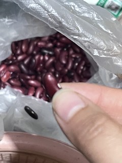 健康又养生的黑色芸豆🫘