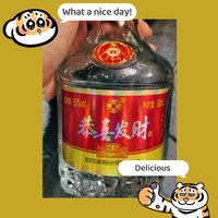 恭喜发财一杯就上头！