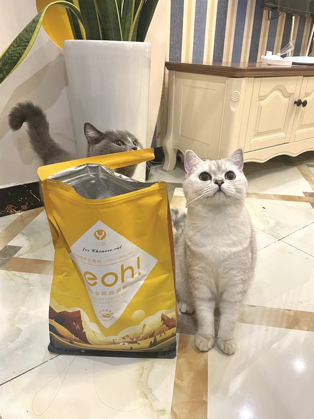 亿欧的这一款猫粮。可以回购选择猫粮不营养