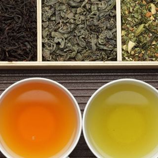 老茶虫二十多年喝过的茶种类、品牌及点评