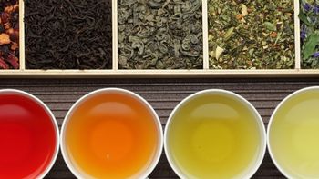 老茶虫二十多年喝过的茶种类、品牌及点评