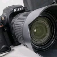 尼康（Nikon） D7500 单反相机/数码相机 