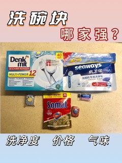 洗碗块小盘点2，使用感、性价比哪家强？