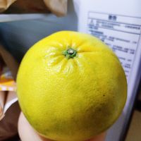 这个到底是柚子还是橙子？也太好吃了吧