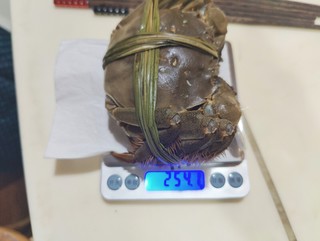 120元一只半斤多的阳澄湖大闸蟹味道如何？