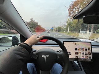 《玫瑰之约》升级—Tesla Model Y