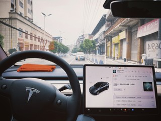 《玫瑰之约》升级—Tesla Model Y