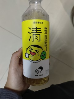 酸酸甜甜的柠檬茶