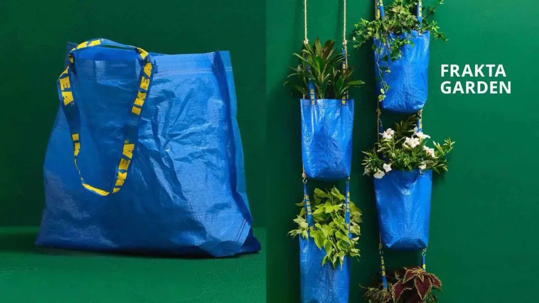 用 Frakta 购物袋改造的空中花园. 图片来自：Ontv