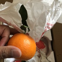 这橙子够果冻