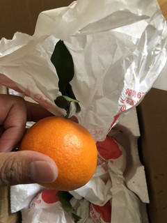 这橙子够果冻