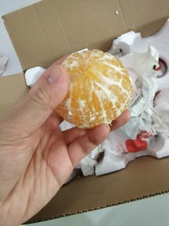 团友推荐 爱媛橙🍊