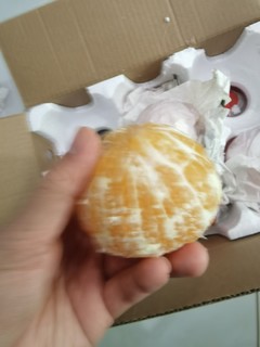 团友推荐 爱媛橙🍊