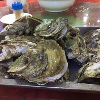 静儿美食分享 篇十：去广东阳江的蚝村——程村吃生蚝咯～