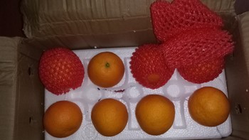在京东特价版买到了性价比很高的果冻橙