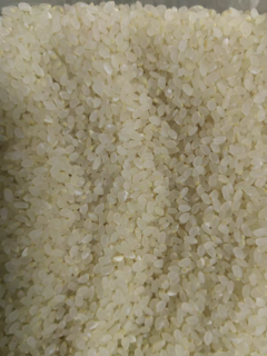 东北胚芽米新米小包