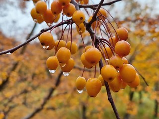 下雨天可以拍什么？