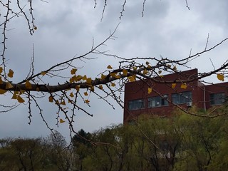 下雨天可以拍着什么呢