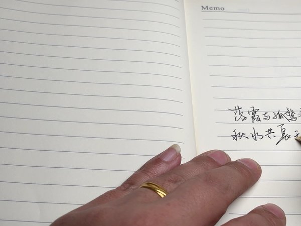 pilot 新钢笔到手测试