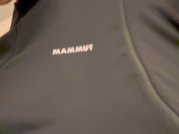 猛犸象抓绒Aconcagua ML Hooded light