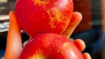 食品生鲜，【大凉山正宗冰糖心丑苹果】新鲜原生态野特级红富士水果1/5/10斤