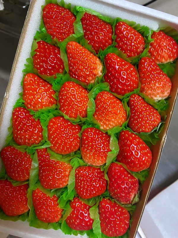 2022年第一波草莓安排上了