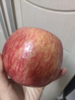 超大个红富士大苹果