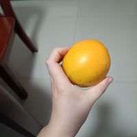 超级甜的赣南脐橙 真的是爱了爱了