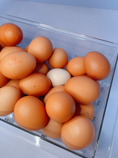 正大鸡蛋是真的大啊，买11期送11期真合适