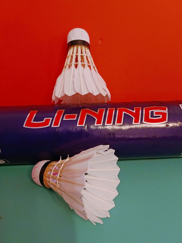 羽毛球是消耗品，要买耐打不贵的