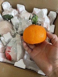 特别甜的果冻橙！