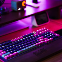潮玩、桌搭必备——双飞燕FS98机械键盘