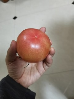 有味道的西红柿