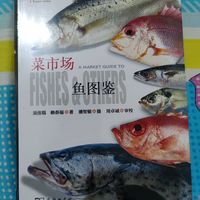 有趣的鱼书